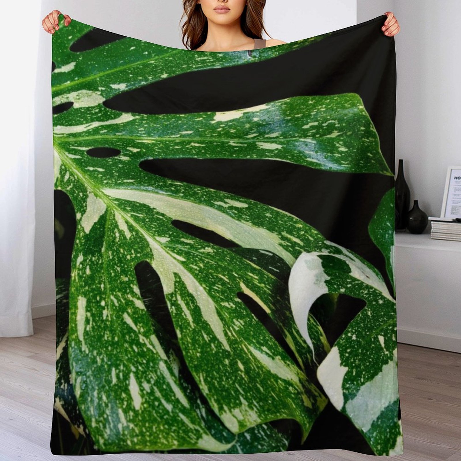 Monstera Thai Constellation Th - Monstera Thai Constellation review and price