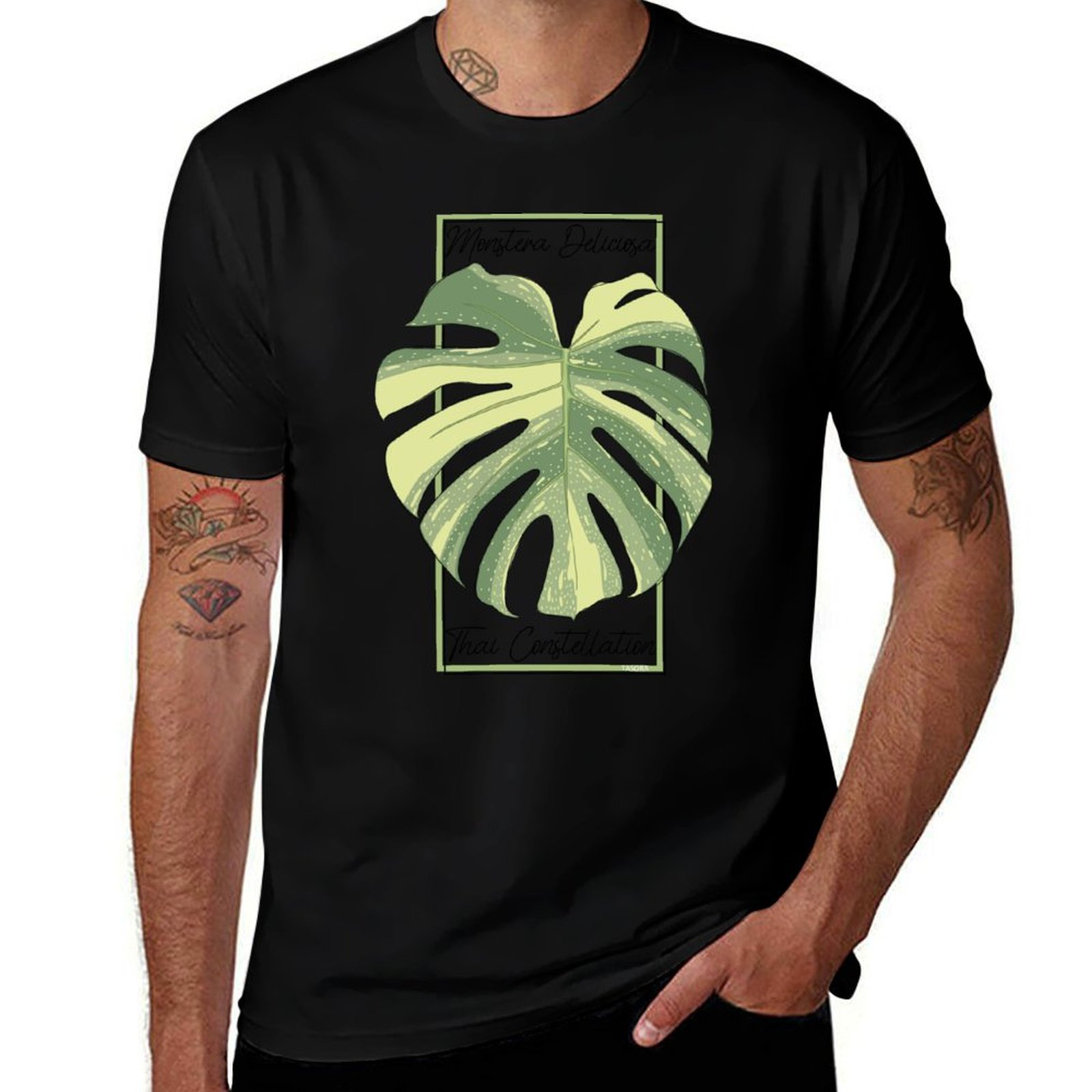 Monstera Thai Constellation Bo - Monstera Thai Constellation review and price