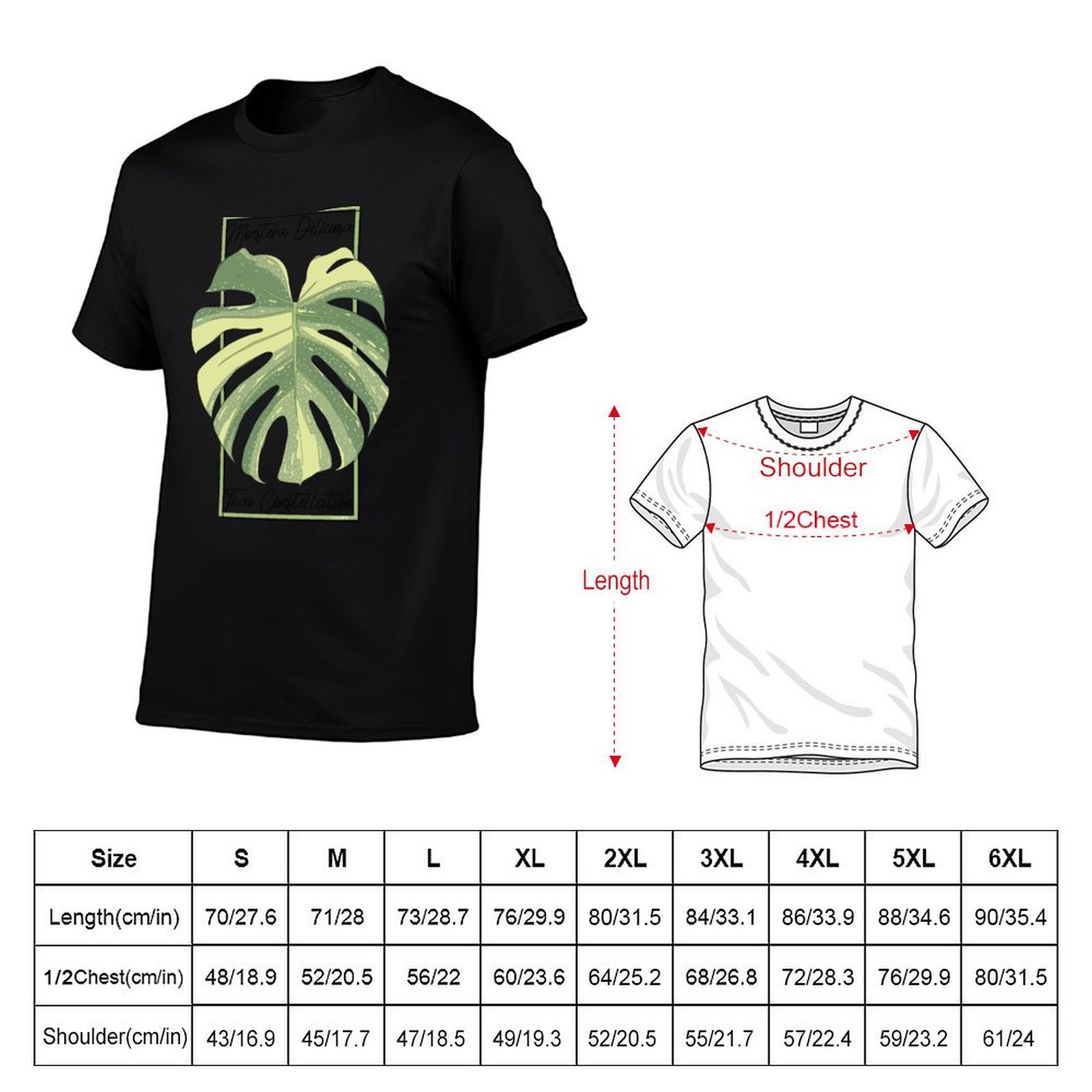 Monstera Thai Constellation Bo - Monstera Thai Constellation review and price