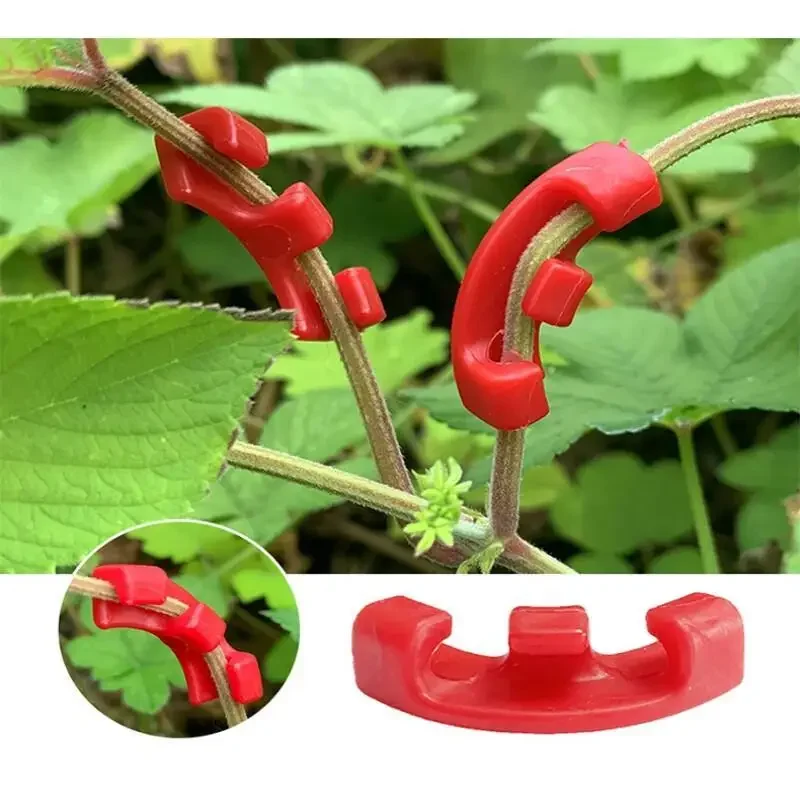 10-100Pcs 90 Degree Plant Bend - Plant Parent Tools review and price