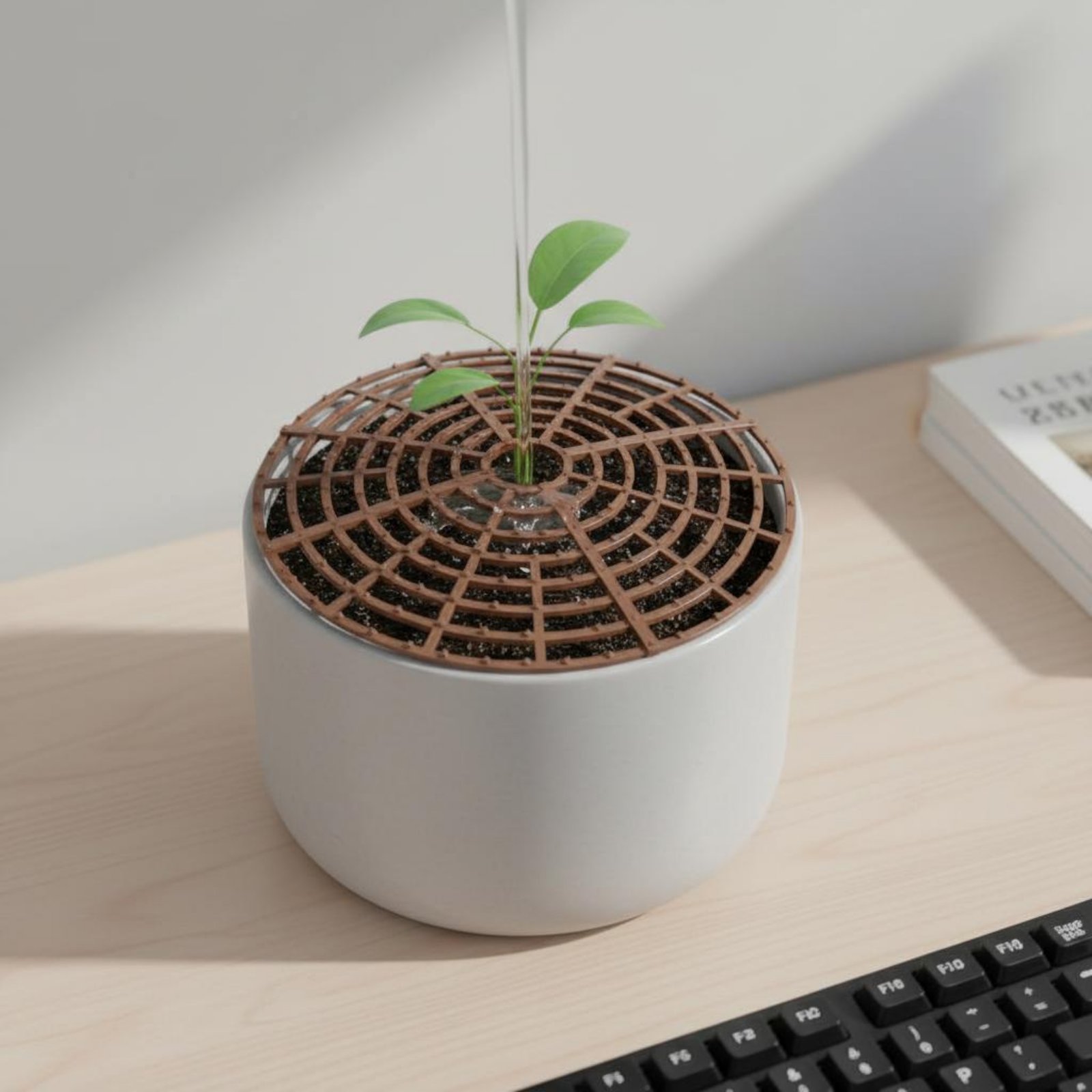 Plant Pot Soil Cover Weather R - Parent Of Plant review and price