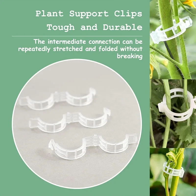 100PCS Plant Fixing Clips Reus - Plant Parent Tools review and price