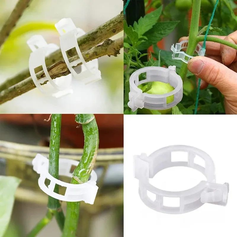 100PCS Plant Fixing Clips Reus - Plant Parent Tools review and price