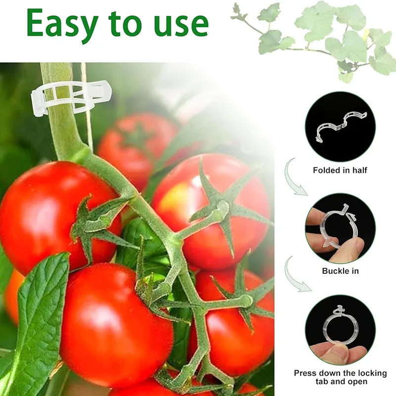100PCS Plant Fixing Clips Reus - Plant Parent Tools review and price