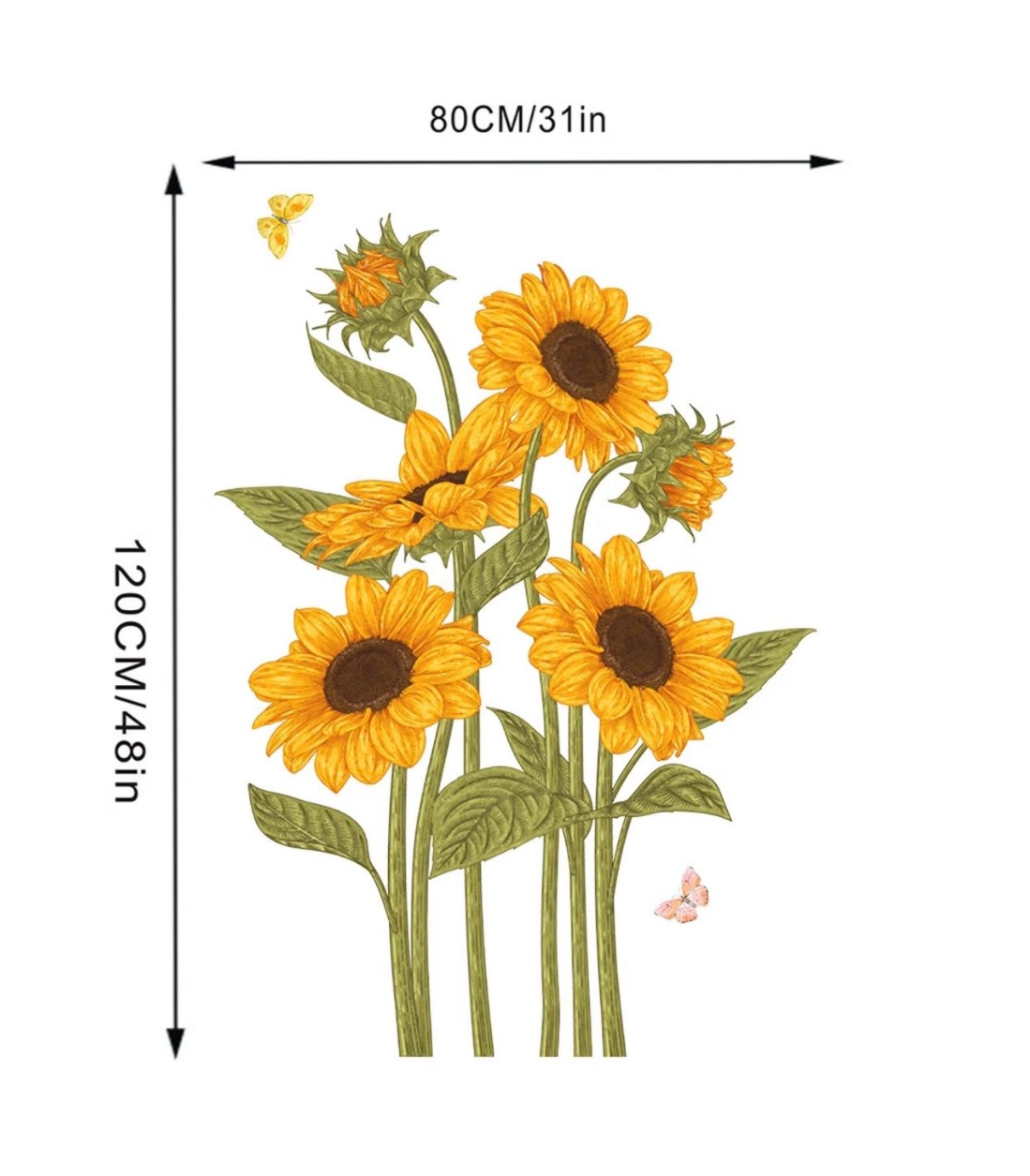 2 Pieces of Sunflower Butterfl - Monstera Thai Constellation review and price