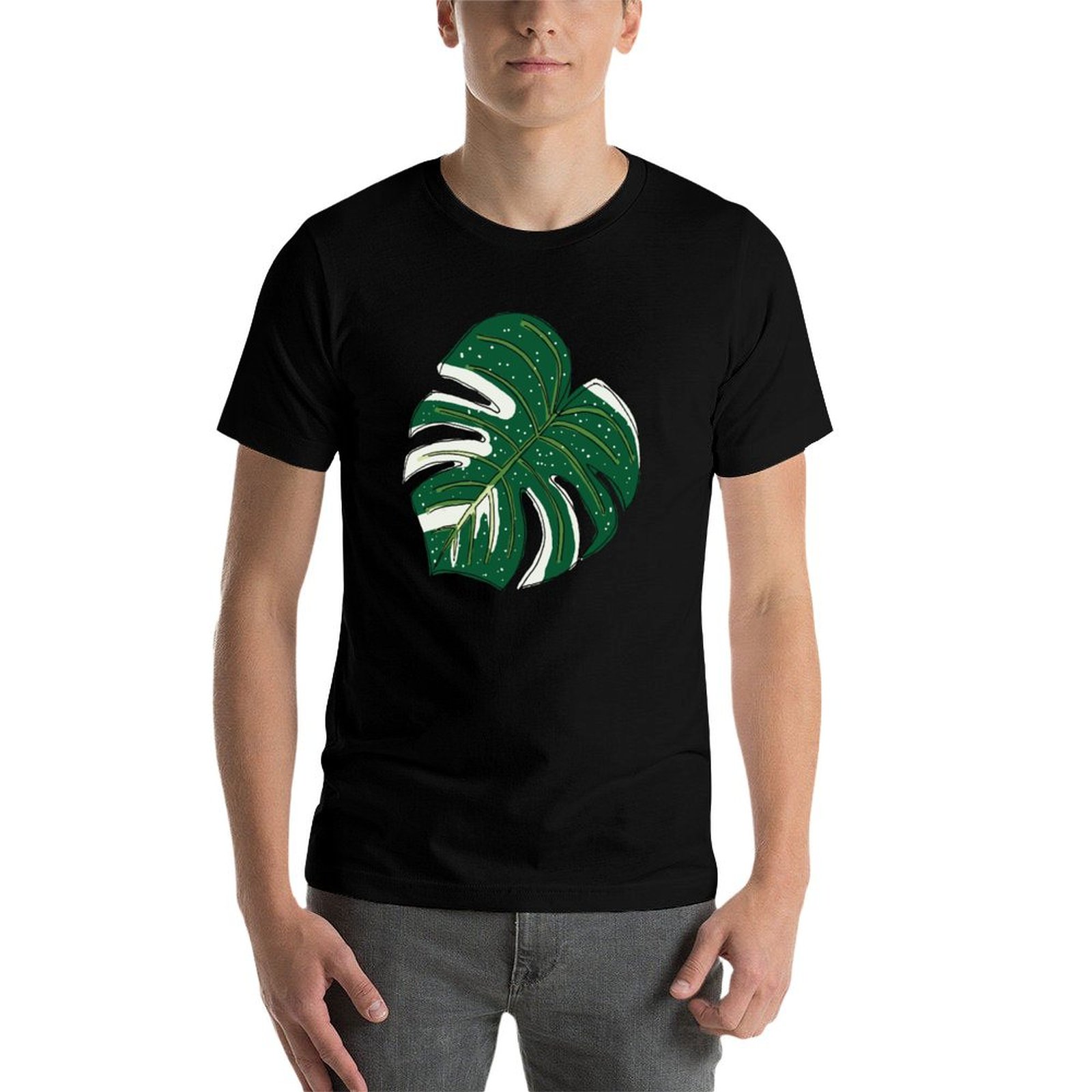 Monstera Thai Constellation T- - Monstera Thai Constellation review and price