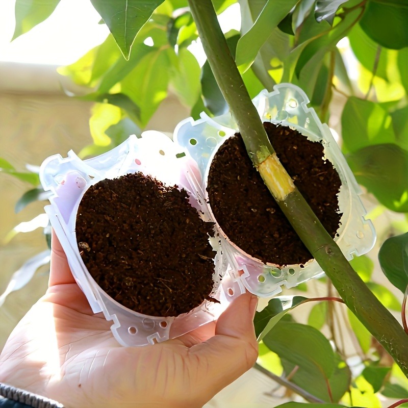 10Pcs High Pressure Plant Root - Plant Parent Tools review and price